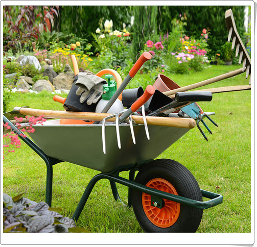 Periyodik bahçe bakımı